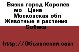 Вязка,город Королёв,мо › Цена ­ 5 000 - Московская обл. Животные и растения » Собаки   